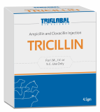Ampicillin _ Cloxacillin Injection